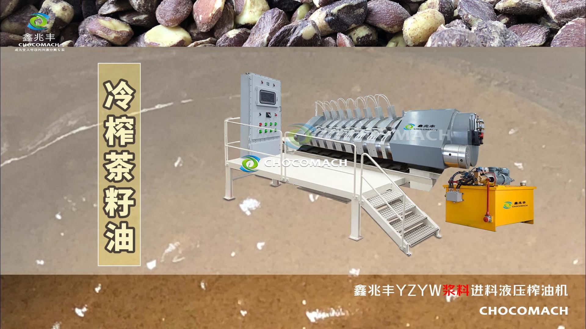 YZYW全自動茶籽榨油機冷榨茶籽油
